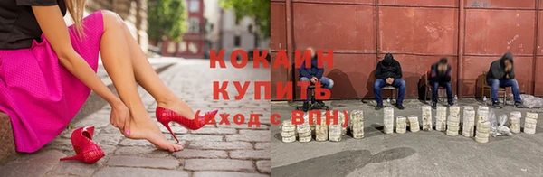 apvp Каменка
