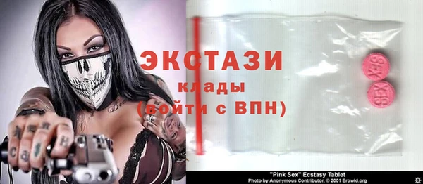 apvp Каменка