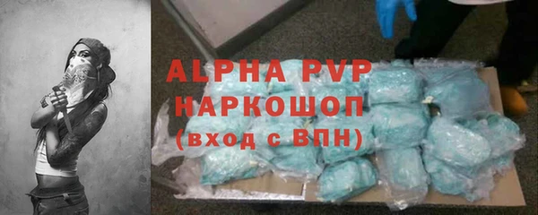 apvp Каменка