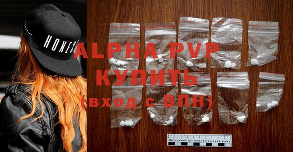 apvp Каменка