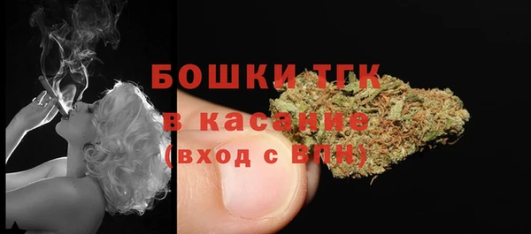 apvp Каменка